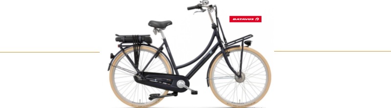 elektrische fiets batavus cnctd retro